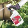 Insecticidal Super Soap – Bonide – 32 oz